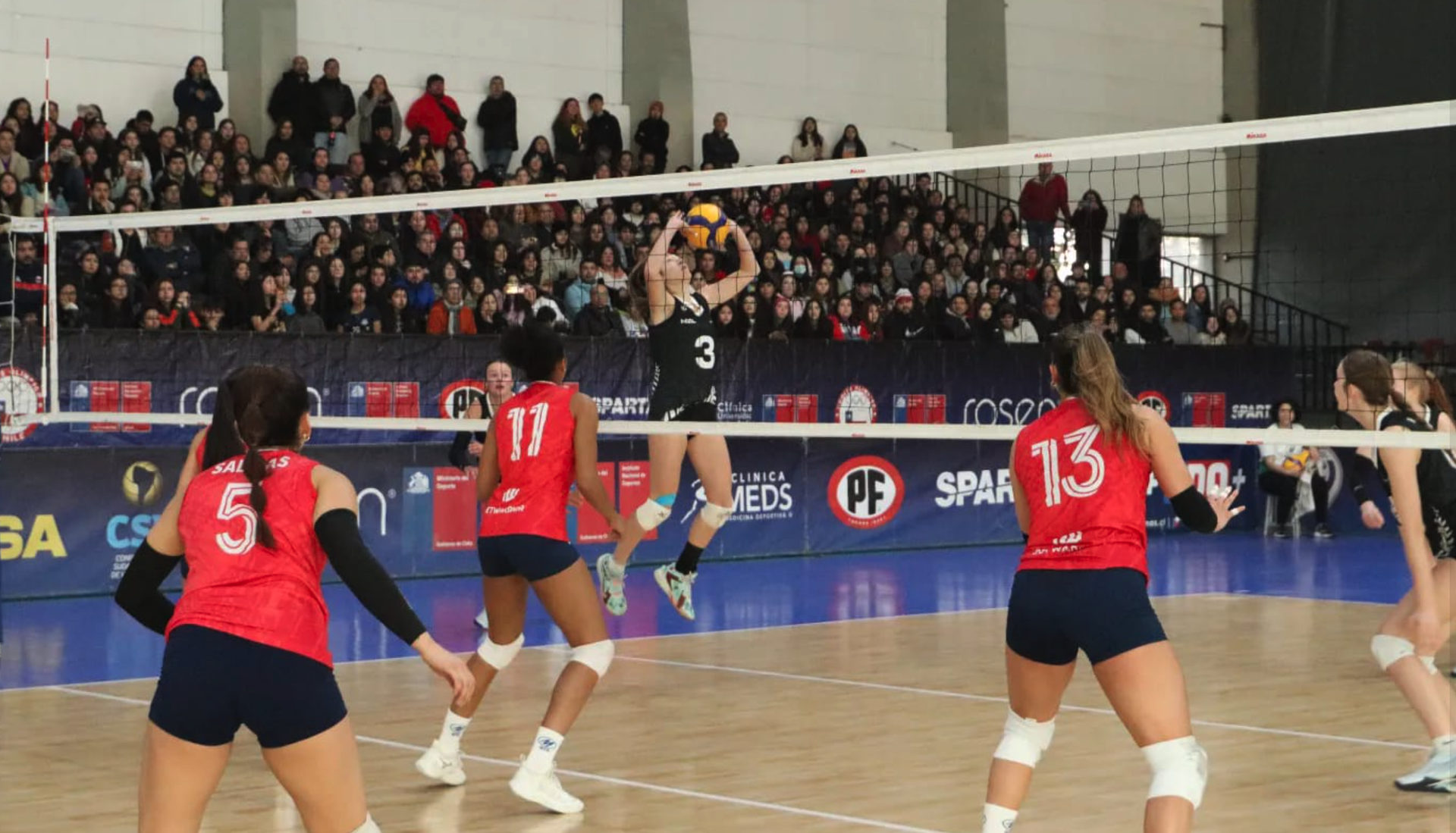 The volley life - Volley Ferns tour wrap